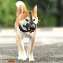 Focinheira ultra macia para Cachorros - Muzzle Soft