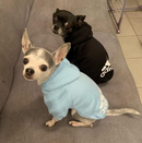 Dog Winter Clothes - Adidog Fleece