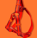 Peitoral com Guia Fluorescente para Cachorros - Flash Chest