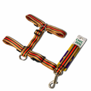 Anti-Pull Dog Harness with Leash - Harness Magia